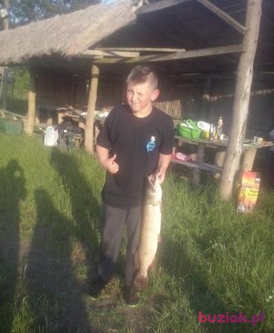 Bogdan, Male, 47, Jelenia Góra, Polska, Photo: 4
