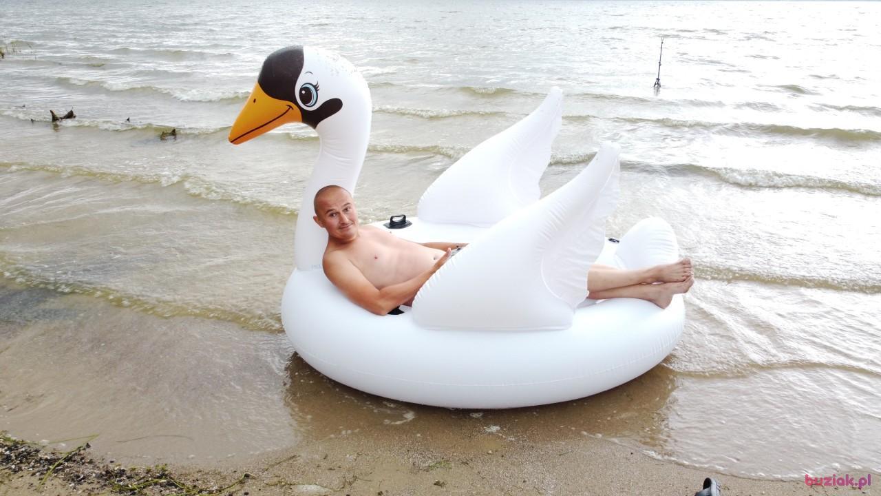 Michał, Male, 37, Zgierz, Polska, Photo: 548