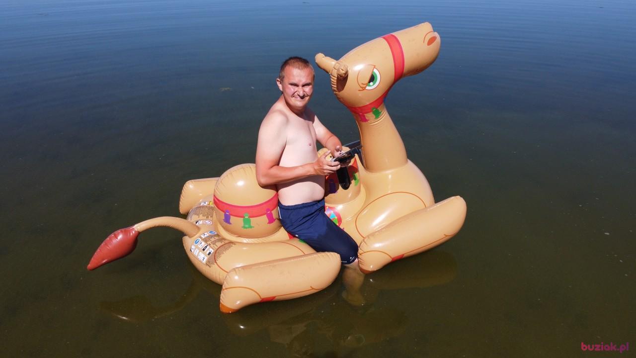 Michał, Male, 37, Zgierz, Polska, Photo: 471