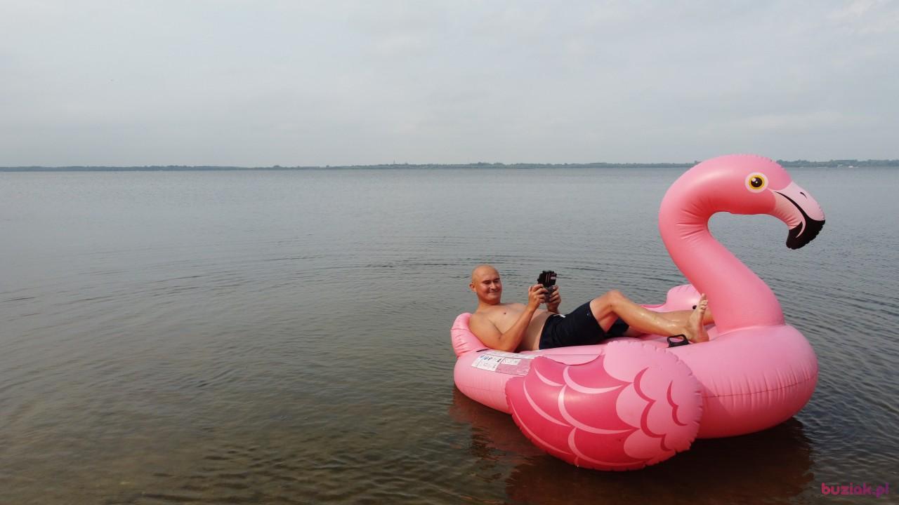 Michał, Male, 37, Zgierz, Polska, Photo: 690