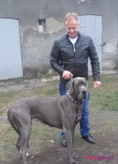 Zbyszek, Male, 61, Turek, Polska, Photo: 2