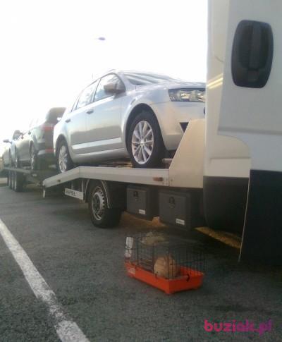 adam  , Mężczyzna, 50, Namysłów, Polska, Zdjęcie: 5
