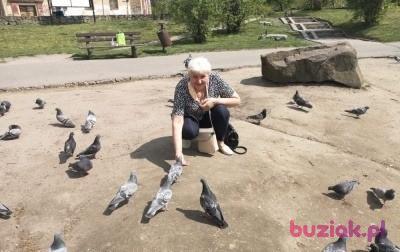 Maria, Female, 73, Skarżysko-Kamienna, Polska, Photo: 9