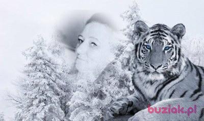 KAMILA, Female, 46, Łódź, Polska, Photo: 2