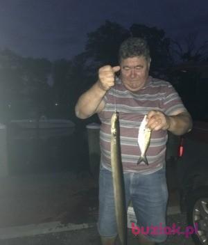 Janek, Mężczyzna, 68, USA, Zdjęcie: 3
