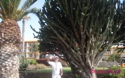 Tadeusz, Male, 68, Tychy, Polska, Photo: 1
