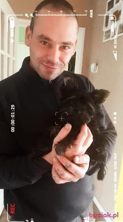 patryk, Mężczyzna, 39, Zwolle, Holandia, Zdjęcie: 3