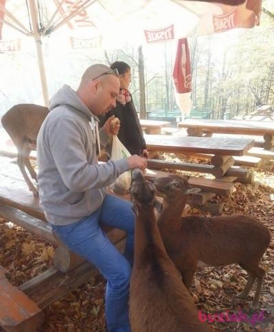 Ari, Mężczyzna, 41, Rotterdam, Holandia, Zdjęcie: 3