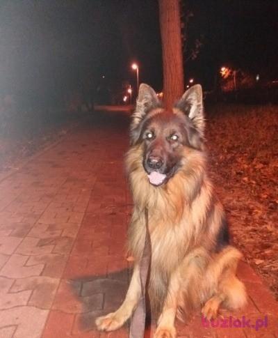 Andrzej, Male, 57, Legionowo, Polska, Photo: 7
