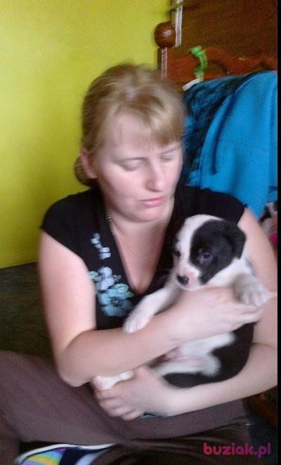 sylwia, Female, 42, Siedlce, Polska, Photo: 4