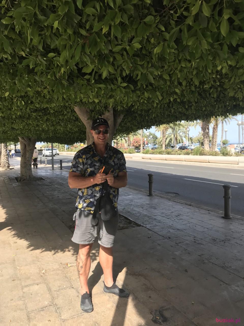 Rob, Male, 42, Brema, Niemcy, Photo: 3