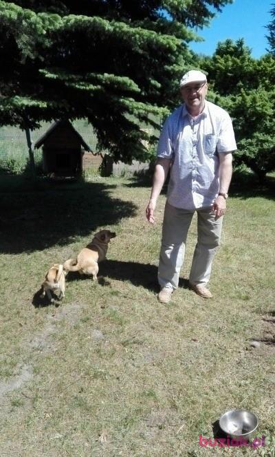 Krzysztof, Male, 72, Łódź, Polska, Photo: 3