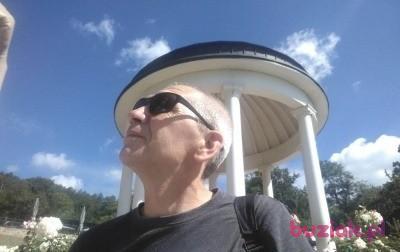 Andrzej , Mężczyzna, 59, Niemcy, Zdjęcie: 2