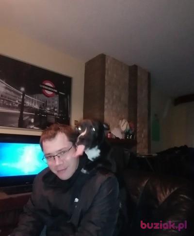 Dawid, Male, 36, Arcen, Holandia, Photo: 2