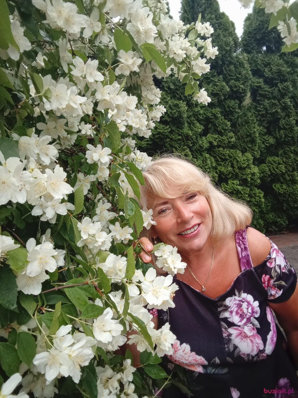 renata, Kobieta, 64, Pionki, Polska, Zdjęcie: 2