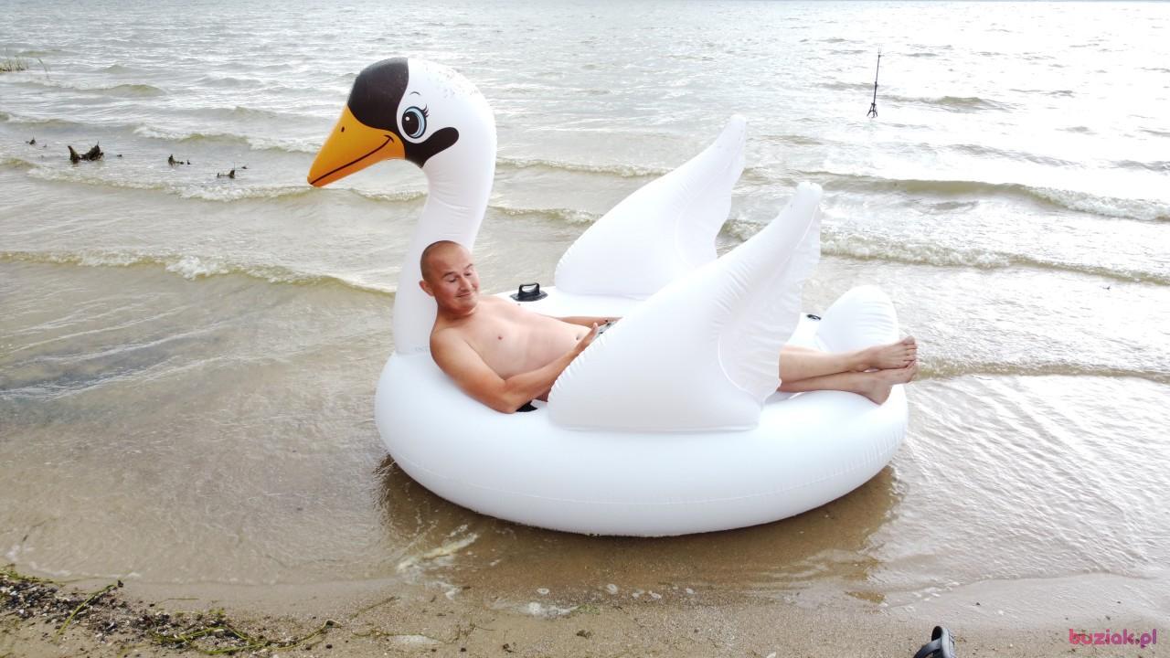Michał, Male, 37, Zgierz, Polska, Photo: 550
