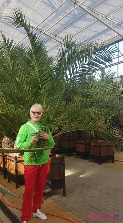 Ewa, Female, 66, Gdańsk, Polska, Photo: 3