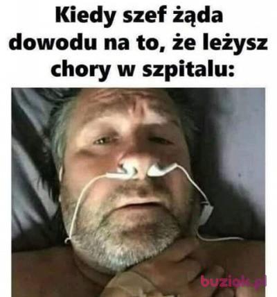 Miron, Male, 48, Kłodzko, Polska, Photo: 2