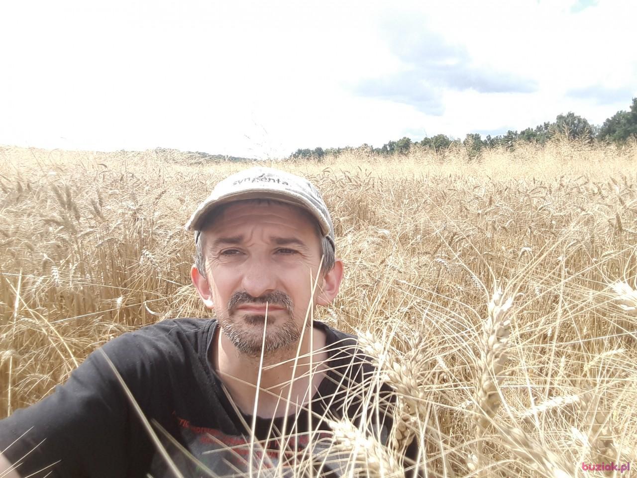 Paweł, Male, 44, Jawor, Polska, Photo: 5