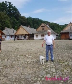 Jędrek, Mężczyzna, 67, Wejherowo, Polska, Zdjęcie: 3