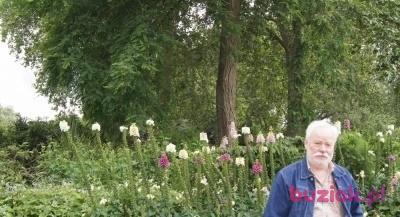 Waldi, Mężczyzna, 70, Poznań, Polska, Zdjęcie: 7