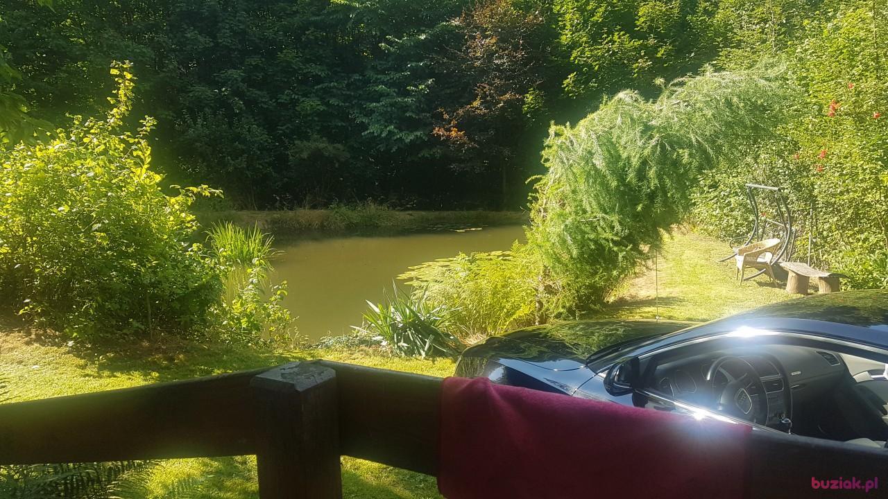Jacek, Male, 47, Berlin, Niemcy, Photo: 2