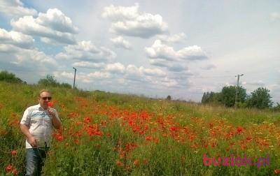 Romuald , Male, 73, Kraków, Polska, Photo: 2