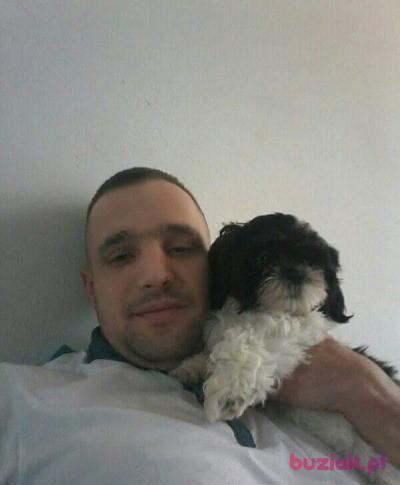 Dawid , Mężczyzna, 39, Niemcy, Zdjęcie: 9