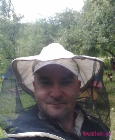 Marek, Mężczyzna, 54, Skwierzyna, Polska, Zdjęcie: 2