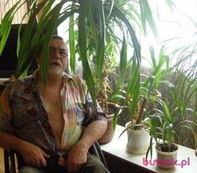 Wojtek, Male, 71, Kutno, Polska, Photo: 4