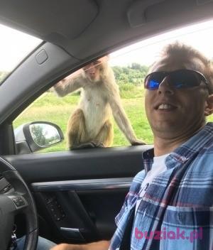 Piotr, Mężczyzna, 48, Wielka Brytania, Zdjęcie: 2