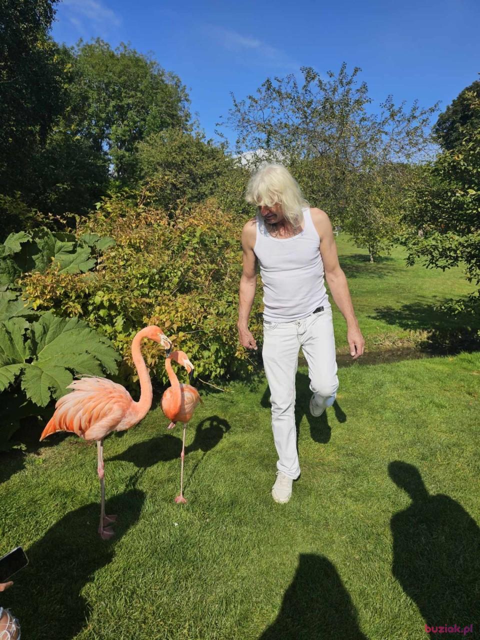 Waldek, Male, 59, Fulbourn, Wielka Brytania, Photo: 4