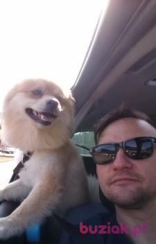 jaco82, Mężczyzna, 44, Haarlem, Holandia, Zdjęcie: 3
