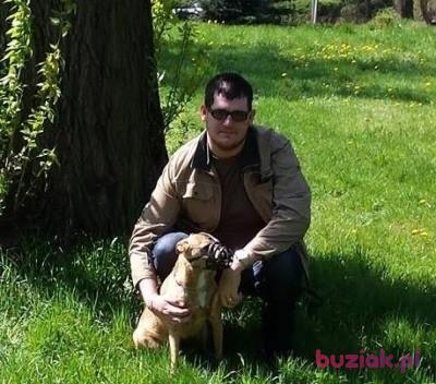 Karol, Mężczyzna, 32, Sosnowiec, Polska, Zdjęcie: 3
