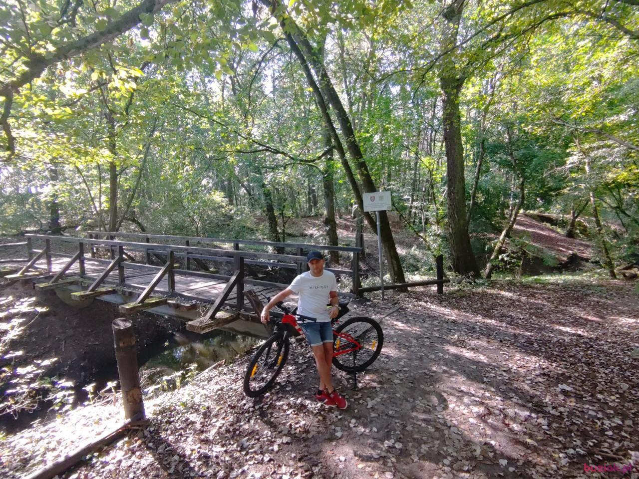 Rafał, Male, 42, Poznań, Polska, Photo: 4