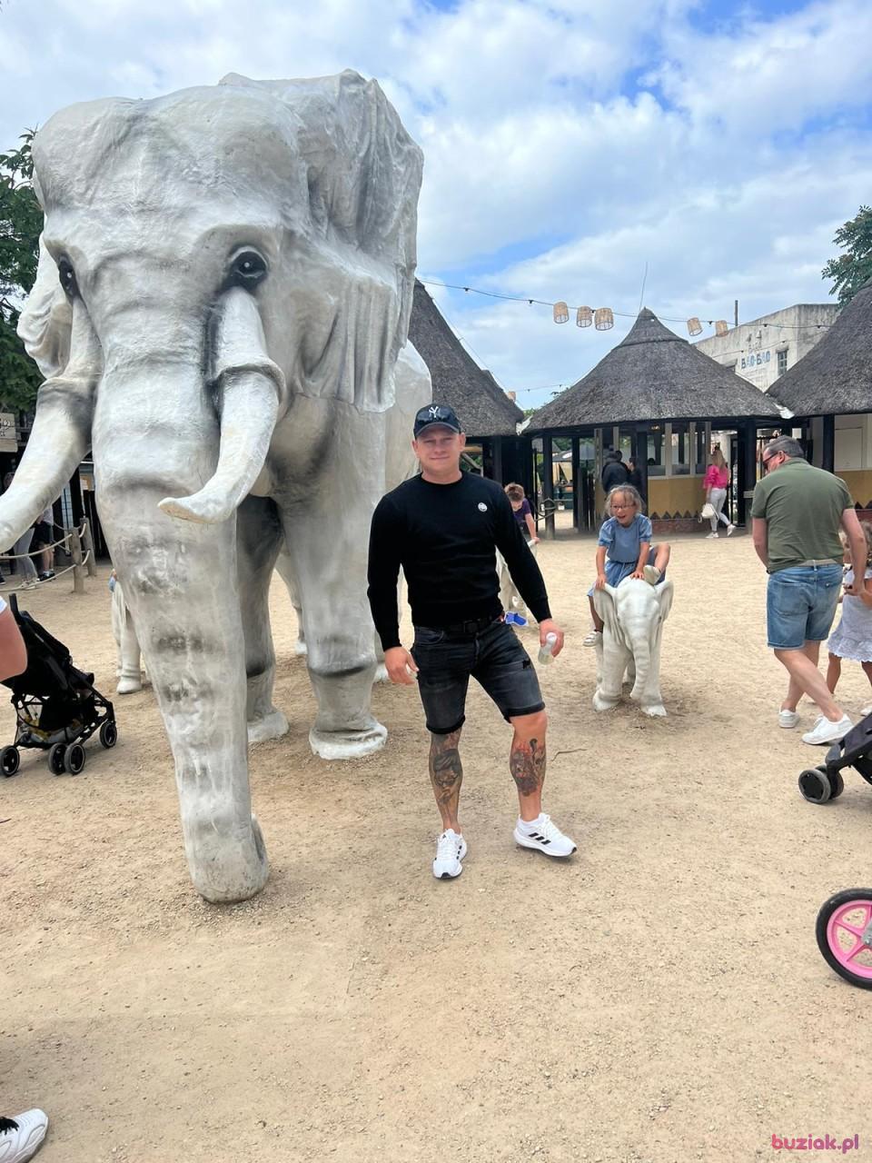 Michal, Mężczyzna, 34, Rotterdam, Holandia, Zdjęcie: 1