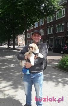 Piotr, Mężczyzna, 39, Rotterdam, Holandia, Zdjęcie: 2