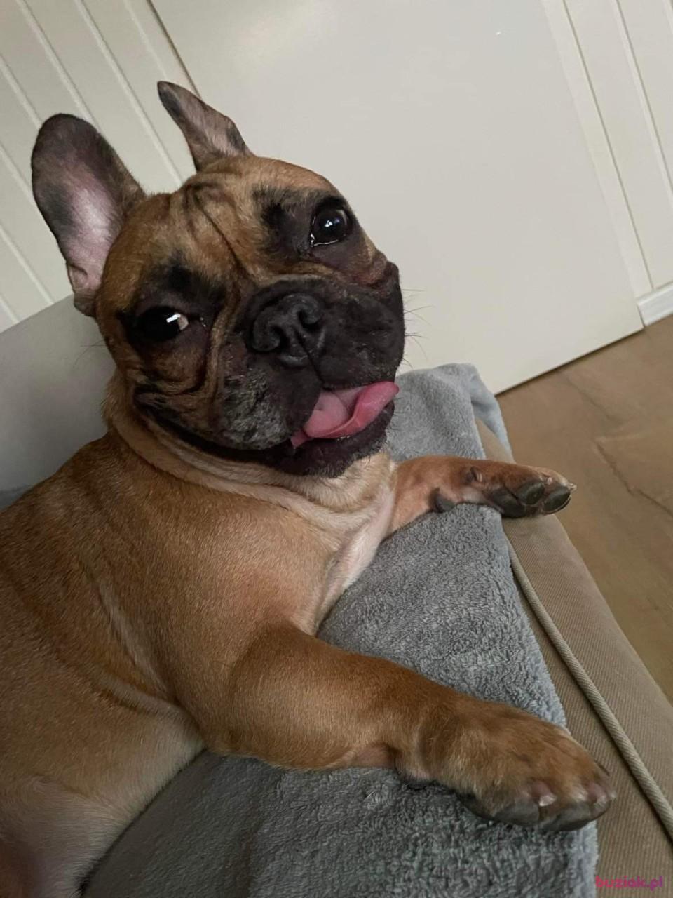 Robert, Male, 43, Dusseldorf, Niemcy, Photo: 5