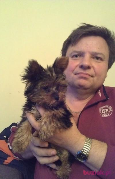 henryk banasiak, Male, 66, Ozorków, Polska, Photo: 1