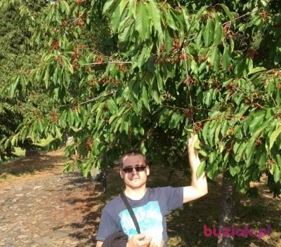 Gniewosz, Male, 39, Bartoszyce, Polska, Photo: 2