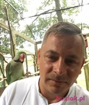 aleksanderhot2, Mężczyzna, 43, Wielka Brytania, Zdjęcie: 2