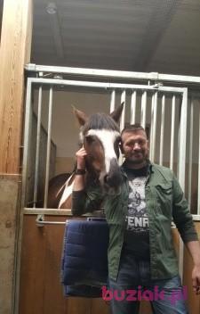 Artur, Mężczyzna, 49, Gdynia, Polska, Zdjęcie: 2
