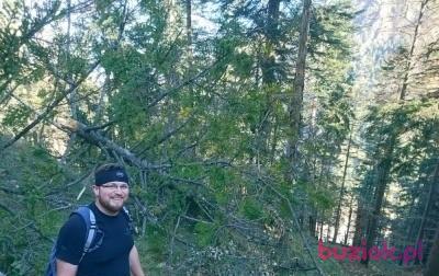 jupsi, Mężczyzna, 42, Monachium, Niemcy, Zdjęcie: 4