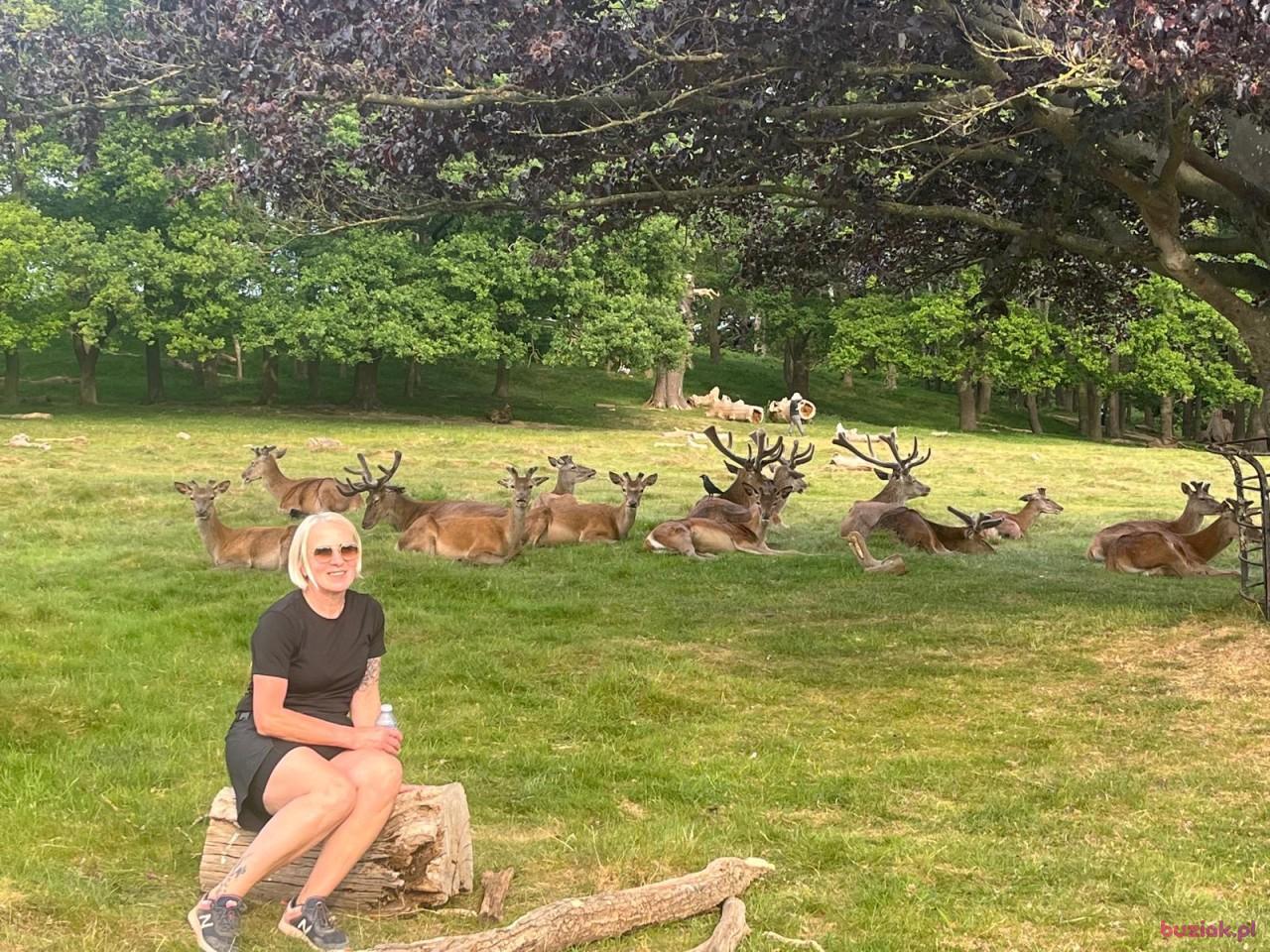 Lucyna, Kobieta, 57, Wielka Brytania, Zdjęcie: 4