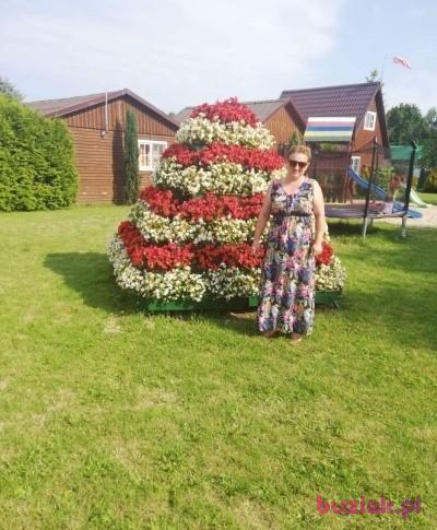Elżbieta , Kobieta, 57, Legnica, Polska, Zdjęcie: 1