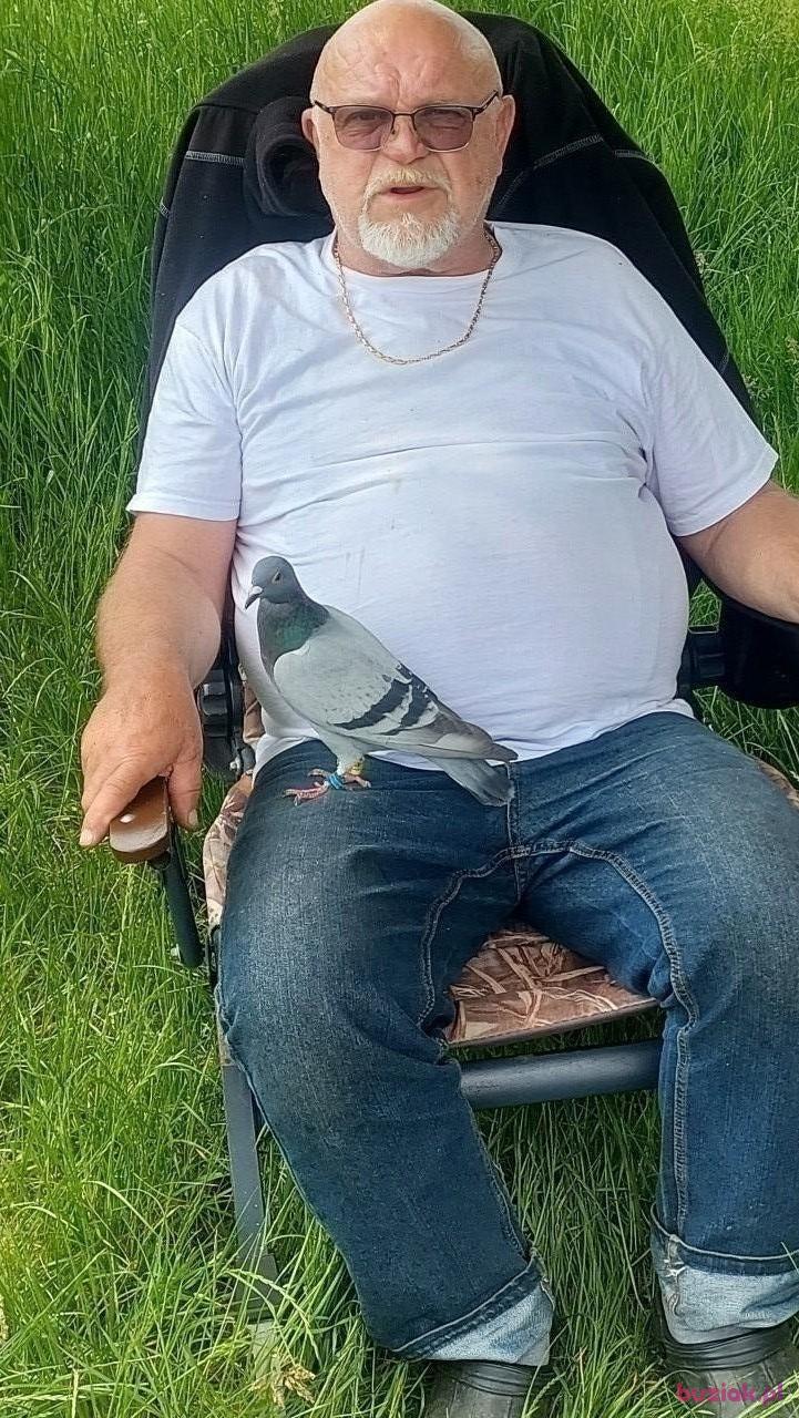 Andrzej, Male, 68, Wrocław, Polska, Photo: 2
