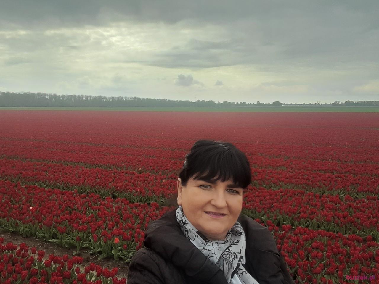 MARZENA, Kobieta, 55, Almere, Holandia, Zdjęcie: 8