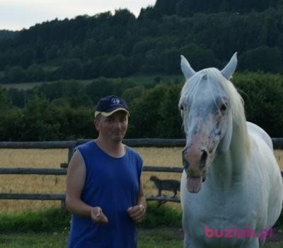 jan, Male, 55, Nysa, Polska, Photo: 2