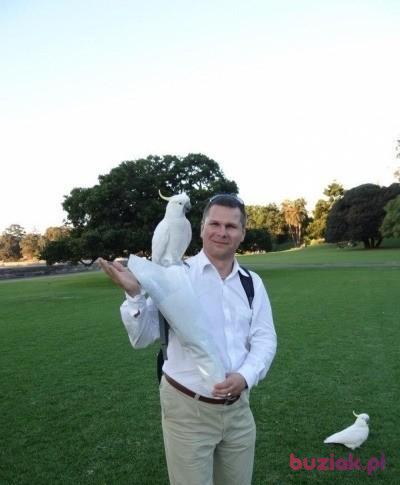 Mirek, Male, 54, Szprotawa, Polska, Photo: 7