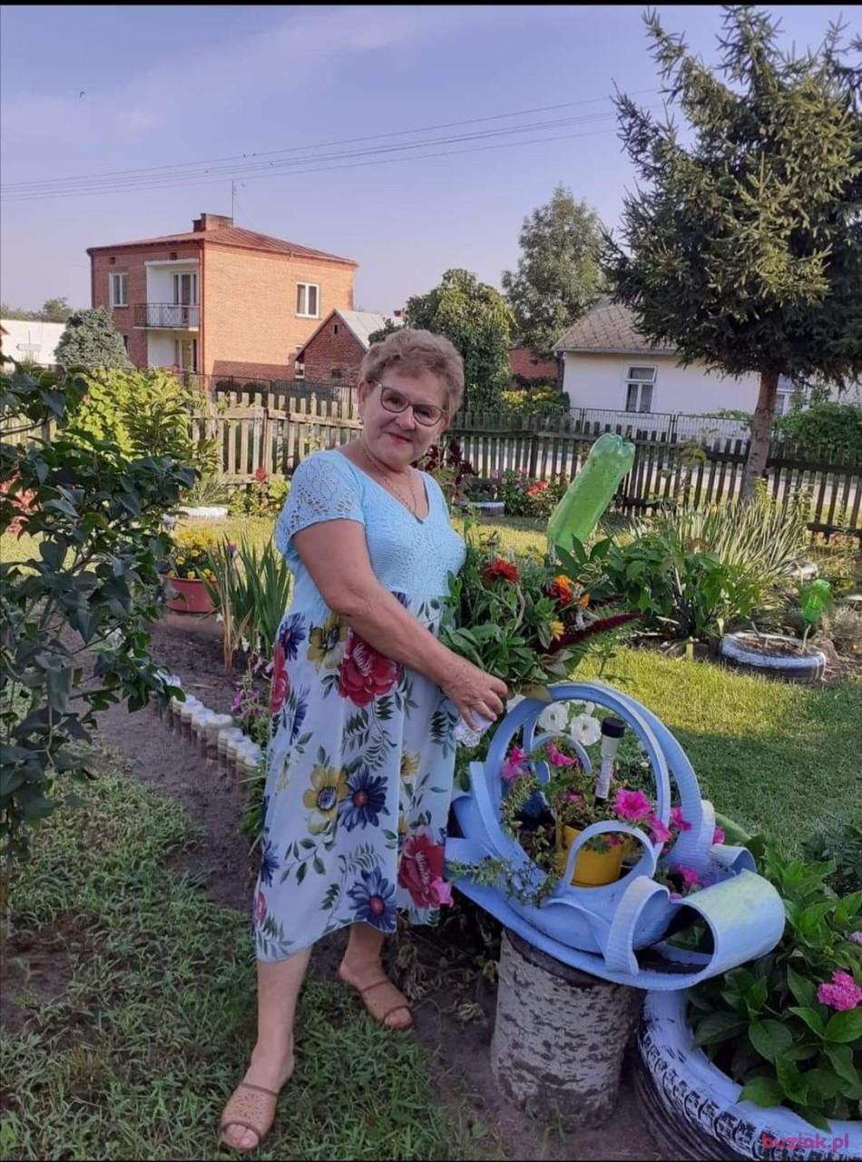 Grazyna, Kobieta, 70, Boguszów-Gorce, Polska, Zdjęcie: 1